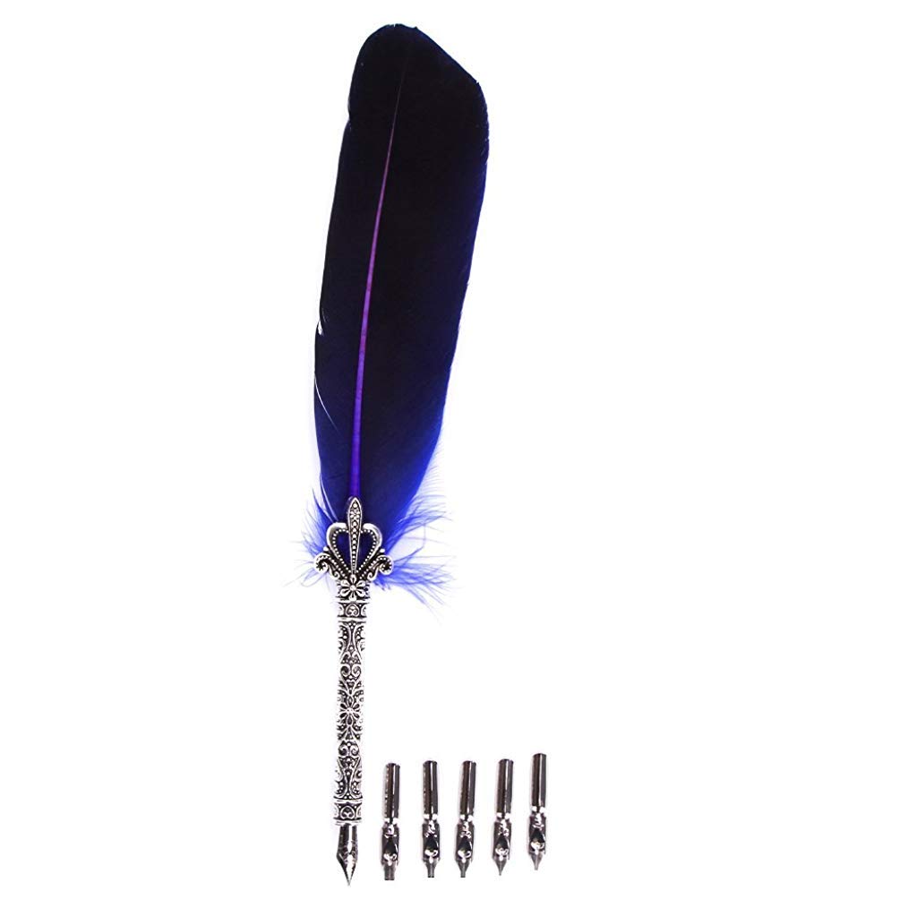 HASTHIP Antique Feather Calligraphy Pen Set -Writing Quill Ink Dip Pen with 5 Extra Metal Nibs (Purple) HASTHIP Antique Feather Calligraphy Pen Set -Writing Quill Ink Dip Pen with 5 Extra Metal Nibs (Purple)
